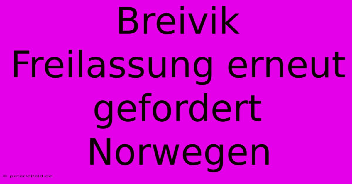 Breivik Freilassung Erneut Gefordert Norwegen