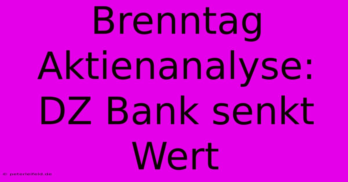 Brenntag Aktienanalyse: DZ Bank Senkt Wert