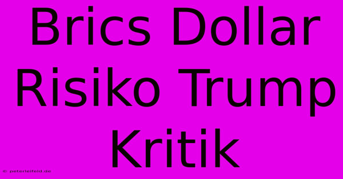 Brics Dollar Risiko Trump Kritik