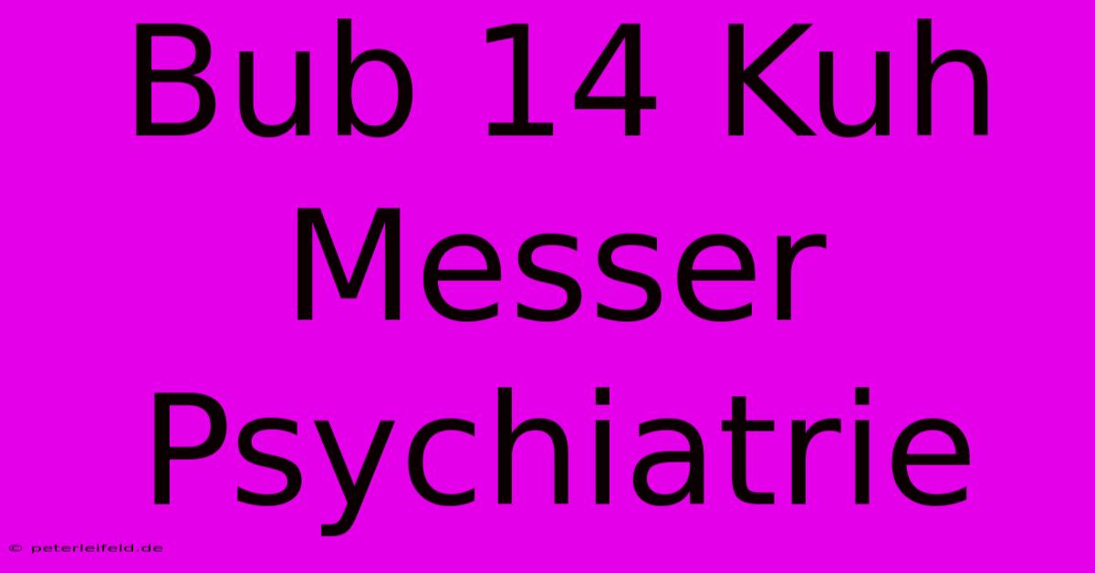 Bub 14 Kuh Messer Psychiatrie