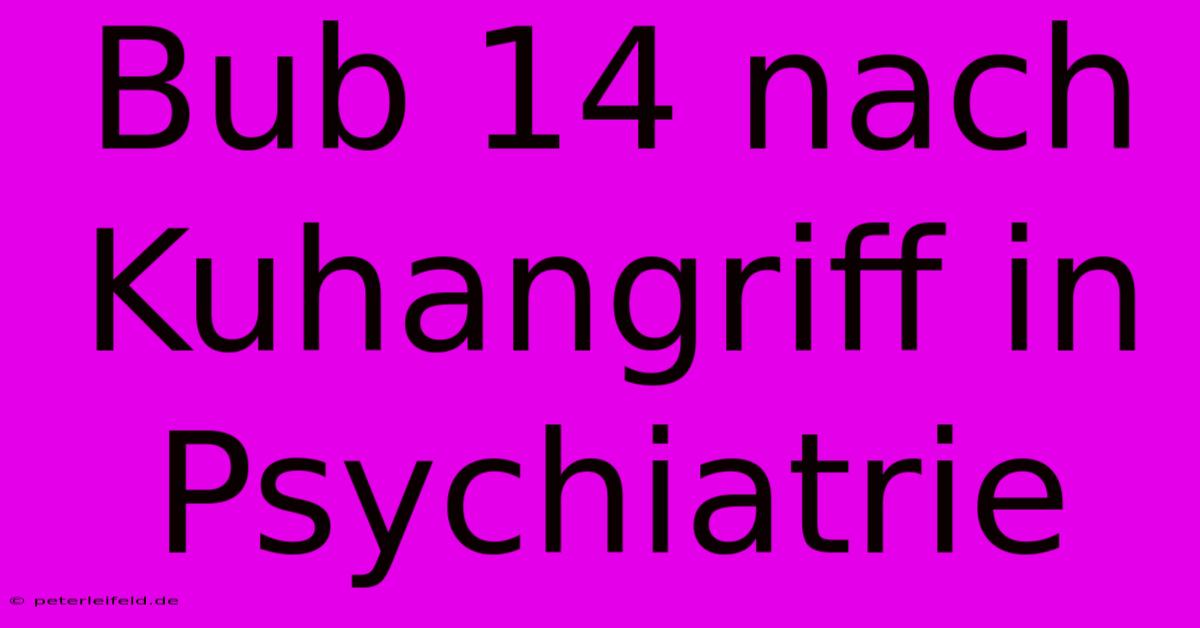 Bub 14 Nach Kuhangriff In Psychiatrie