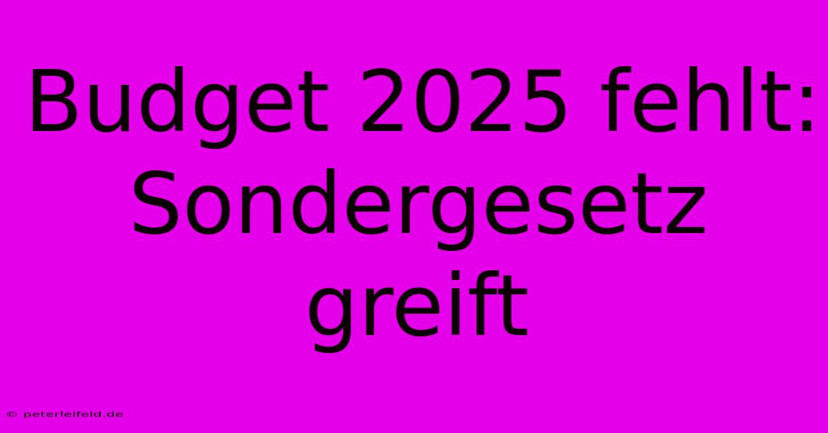 Budget 2025 Fehlt: Sondergesetz Greift