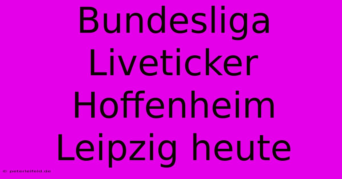 Bundesliga Liveticker Hoffenheim Leipzig Heute