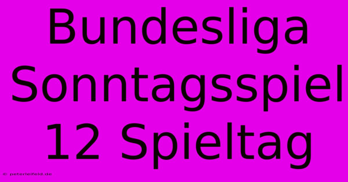 Bundesliga Sonntagsspiel 12 Spieltag