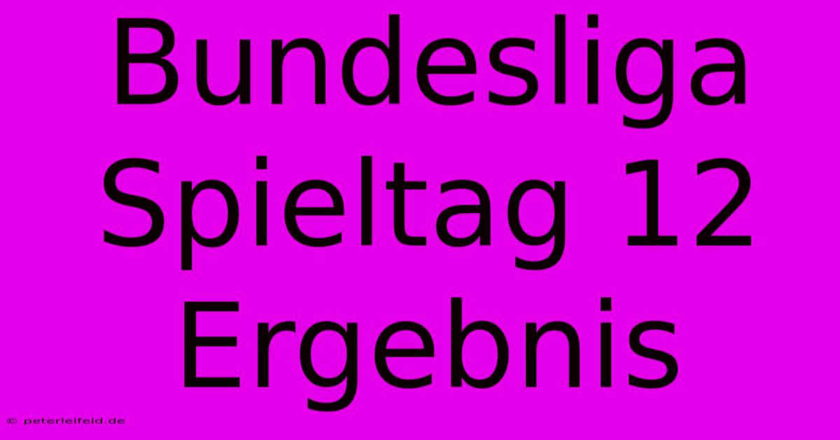 Bundesliga Spieltag 12 Ergebnis