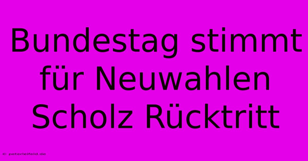 Bundestag Stimmt Für Neuwahlen Scholz Rücktritt