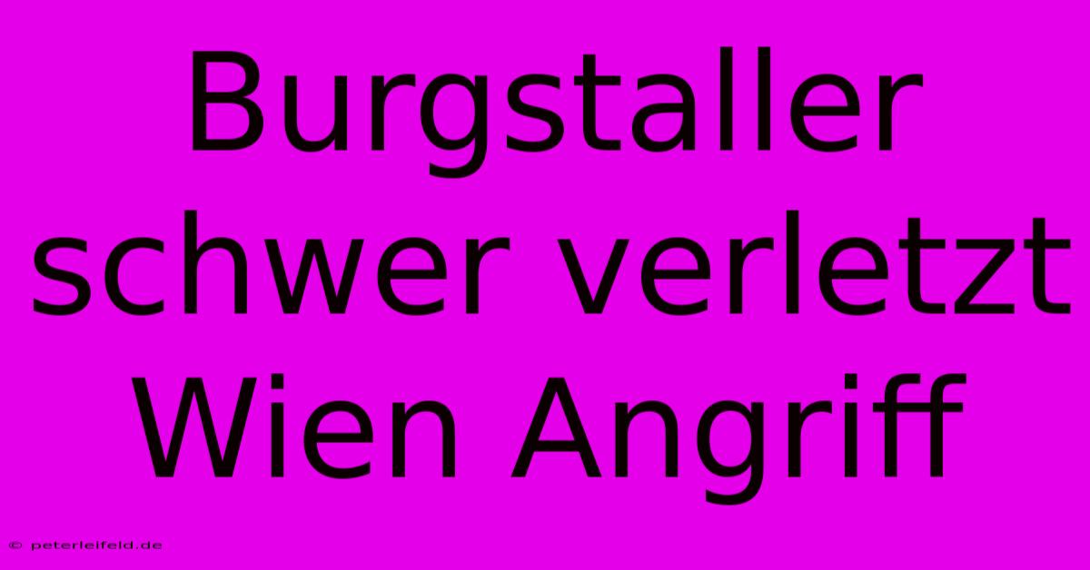 Burgstaller Schwer Verletzt Wien Angriff