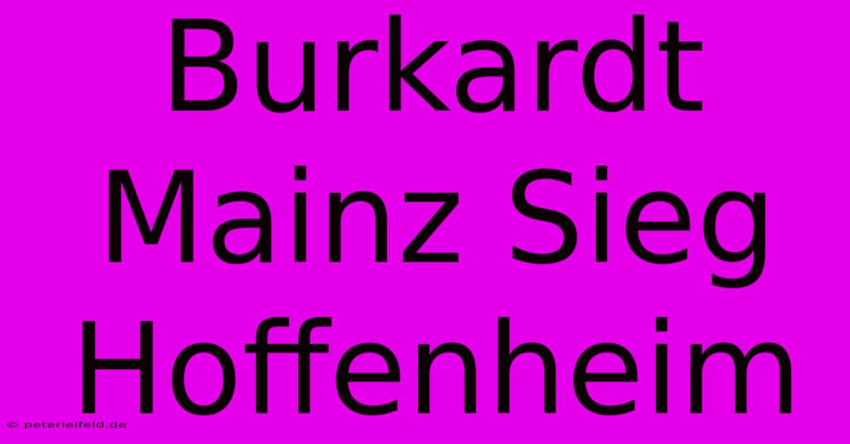 Burkardt Mainz Sieg Hoffenheim