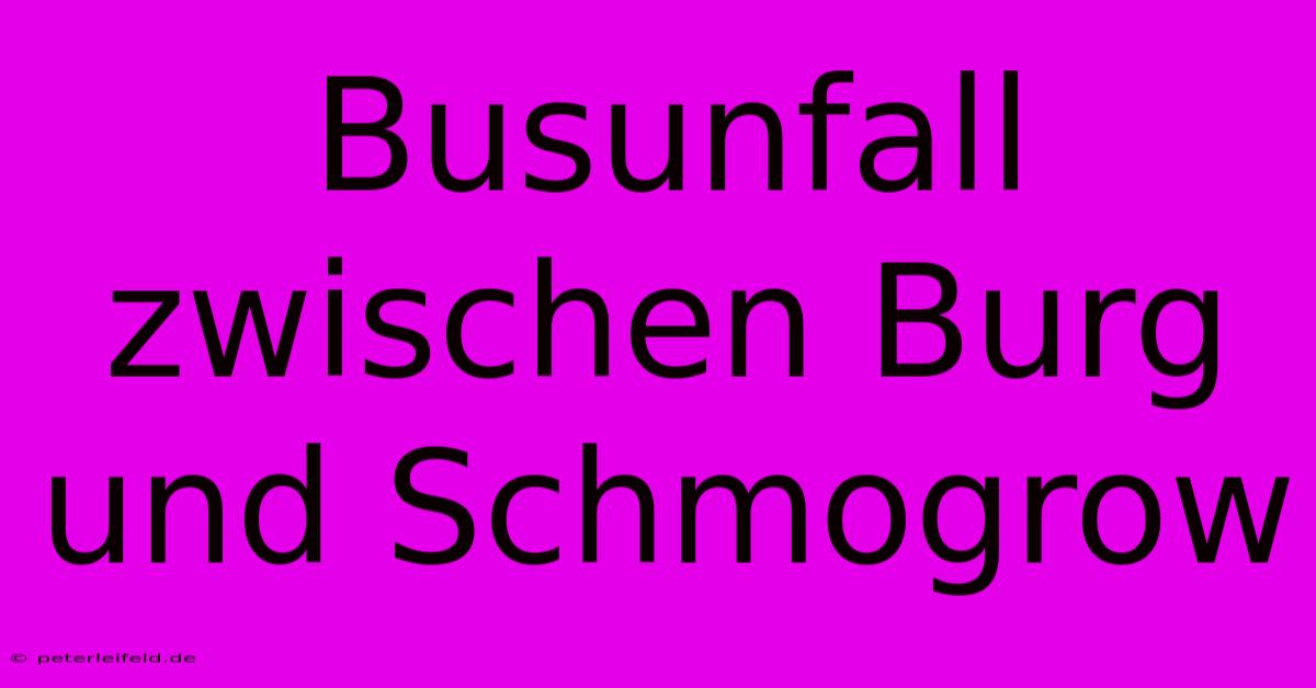 Busunfall Zwischen Burg Und Schmogrow