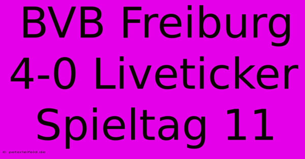 BVB Freiburg 4-0 Liveticker Spieltag 11