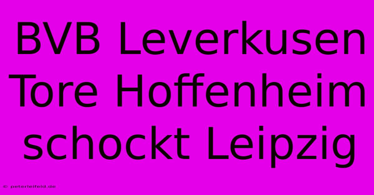 BVB Leverkusen Tore Hoffenheim Schockt Leipzig