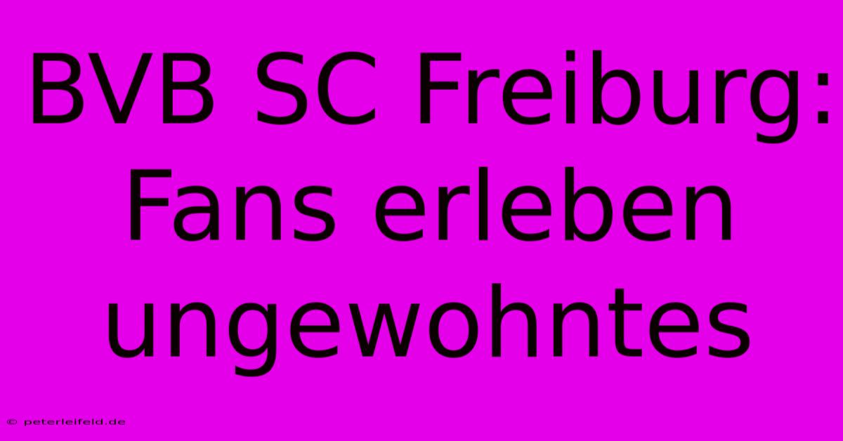 BVB SC Freiburg: Fans Erleben Ungewohntes