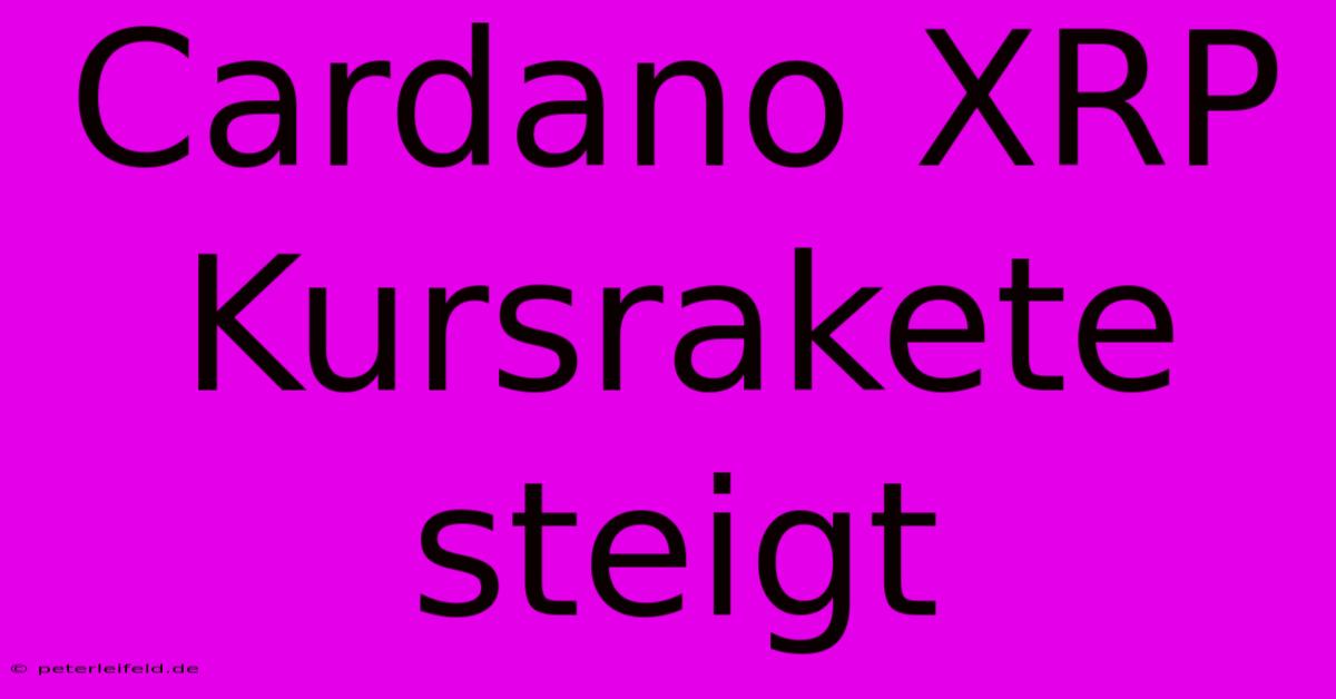 Cardano XRP Kursrakete Steigt