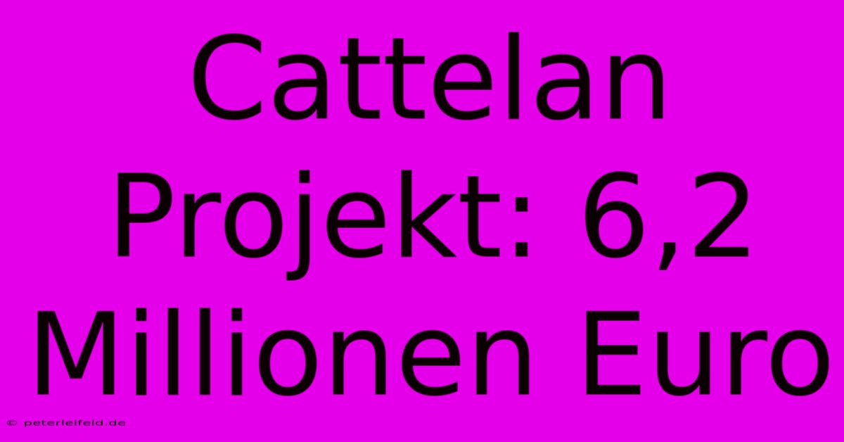 Cattelan Projekt: 6,2 Millionen Euro