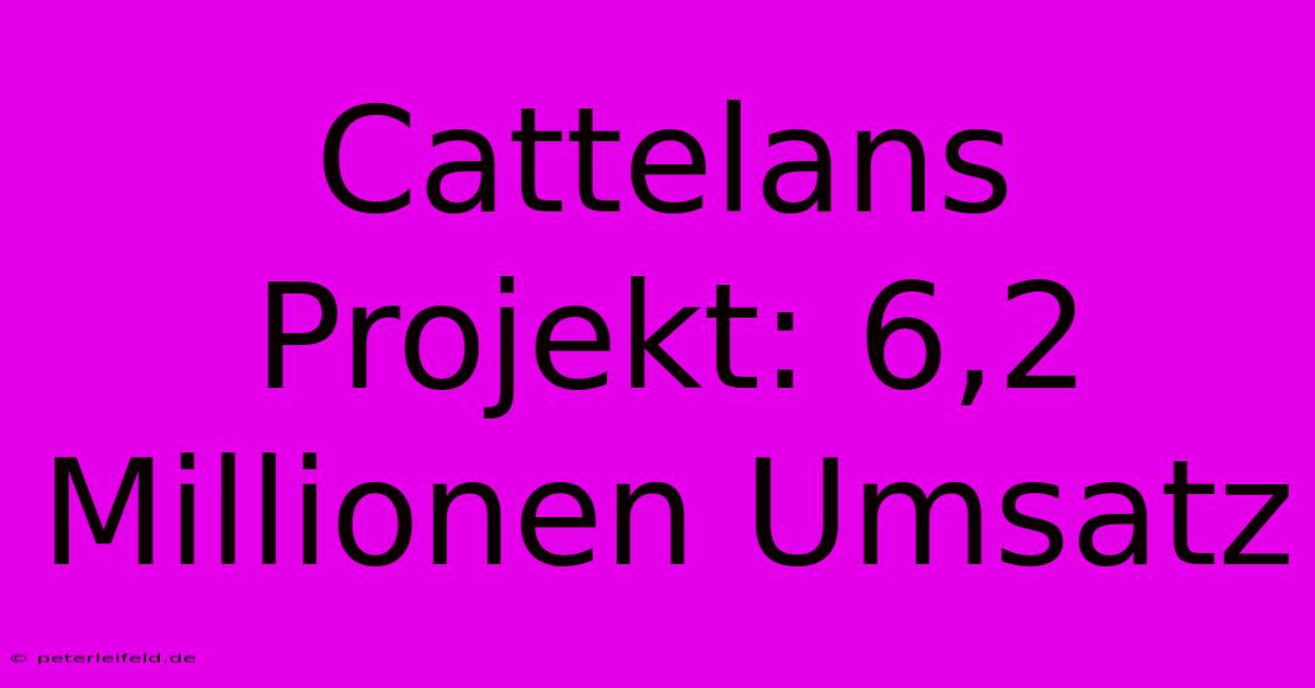 Cattelans Projekt: 6,2 Millionen Umsatz