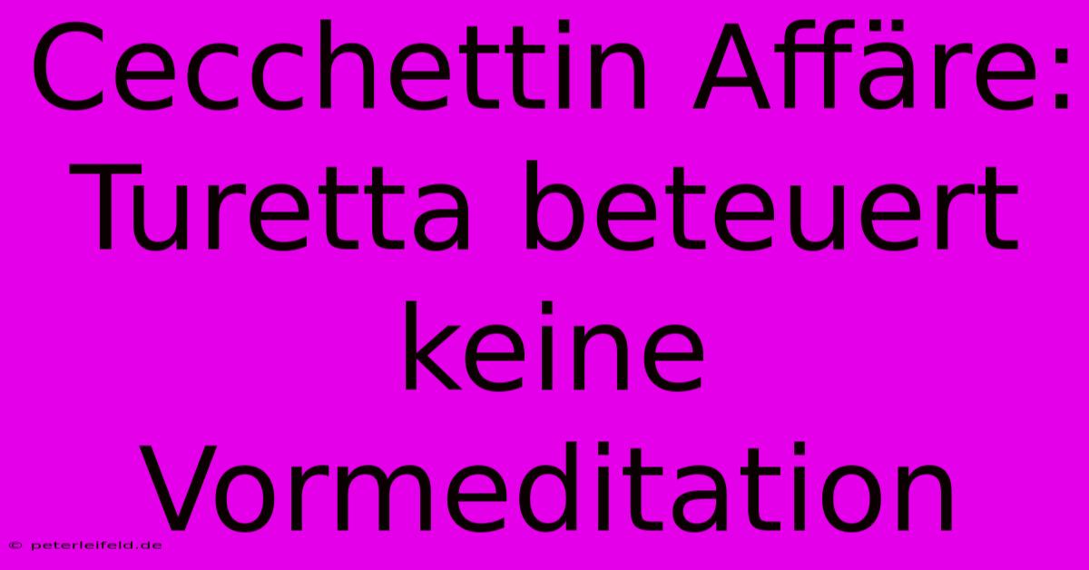 Cecchettin Affäre: Turetta Beteuert Keine Vormeditation