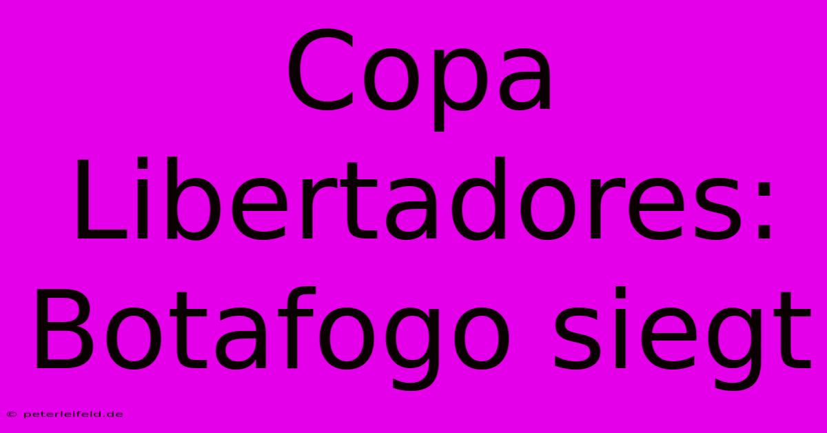 Copa Libertadores: Botafogo Siegt