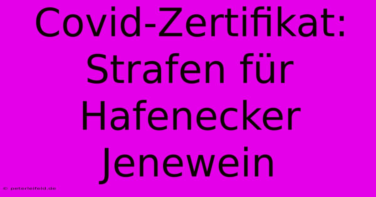 Covid-Zertifikat: Strafen Für Hafenecker Jenewein