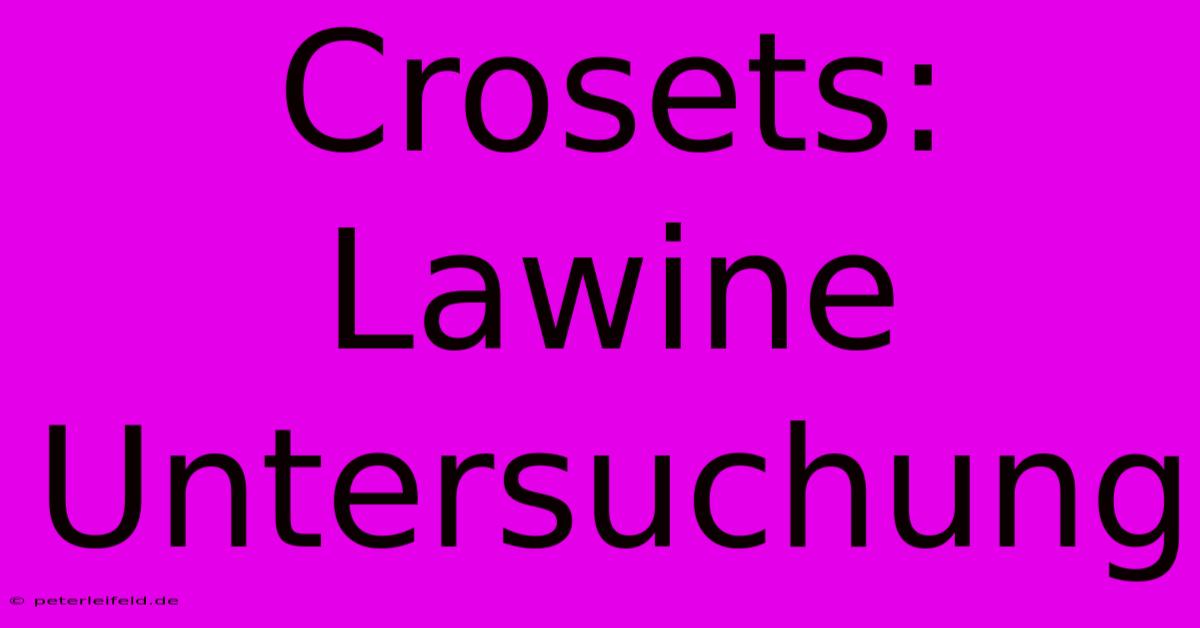 Crosets:  Lawine Untersuchung