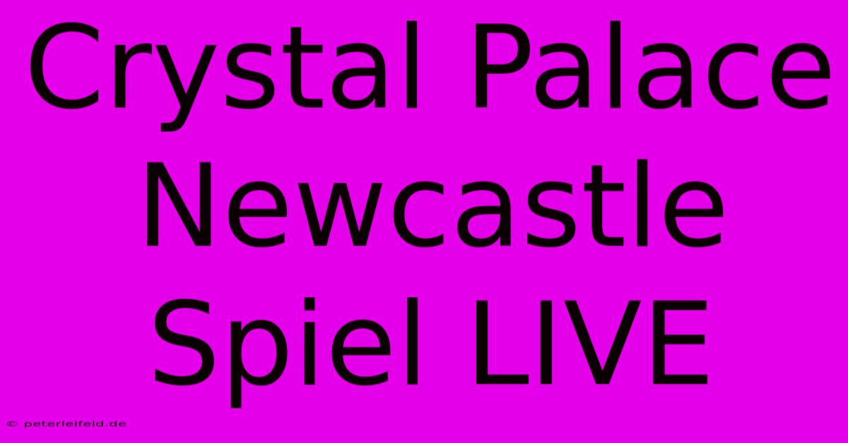 Crystal Palace Newcastle Spiel LIVE