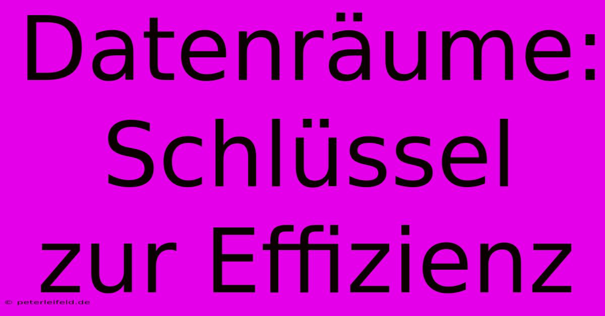 Datenräume: Schlüssel Zur Effizienz