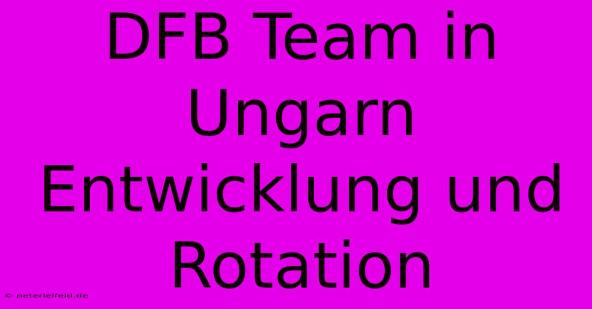 DFB Team In Ungarn Entwicklung Und Rotation