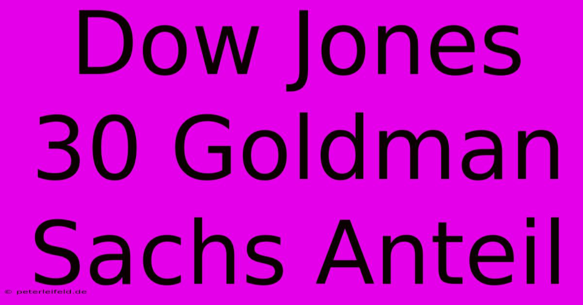 Dow Jones 30 Goldman Sachs Anteil