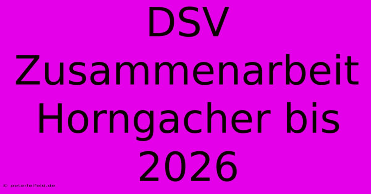 DSV Zusammenarbeit Horngacher Bis 2026