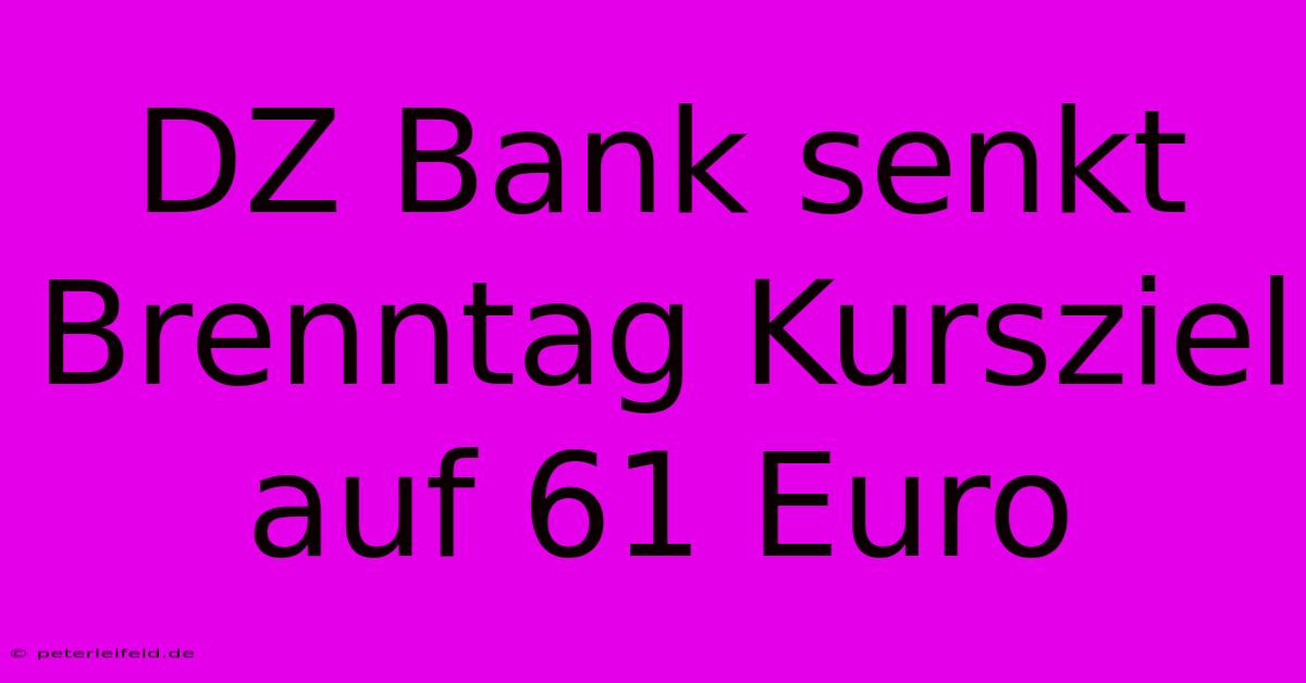 DZ Bank Senkt Brenntag Kursziel Auf 61 Euro