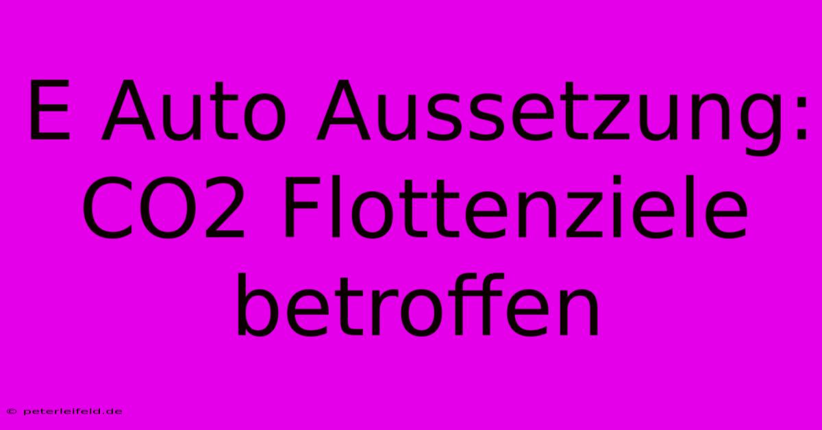 E Auto Aussetzung: CO2 Flottenziele Betroffen