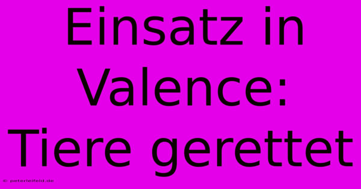 Einsatz In Valence: Tiere Gerettet