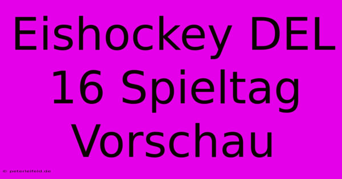 Eishockey DEL 16 Spieltag Vorschau