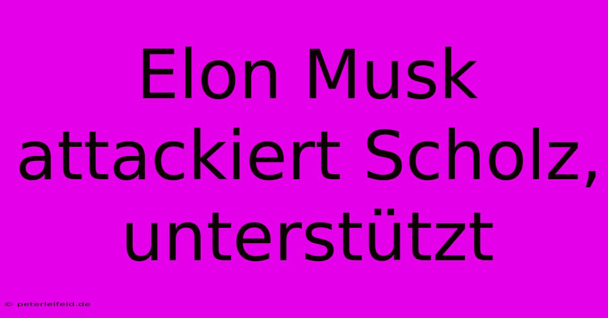 Elon Musk Attackiert Scholz, Unterstützt