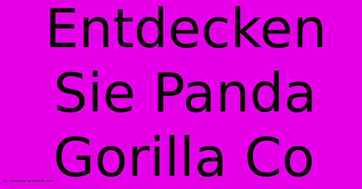 Entdecken Sie Panda Gorilla Co