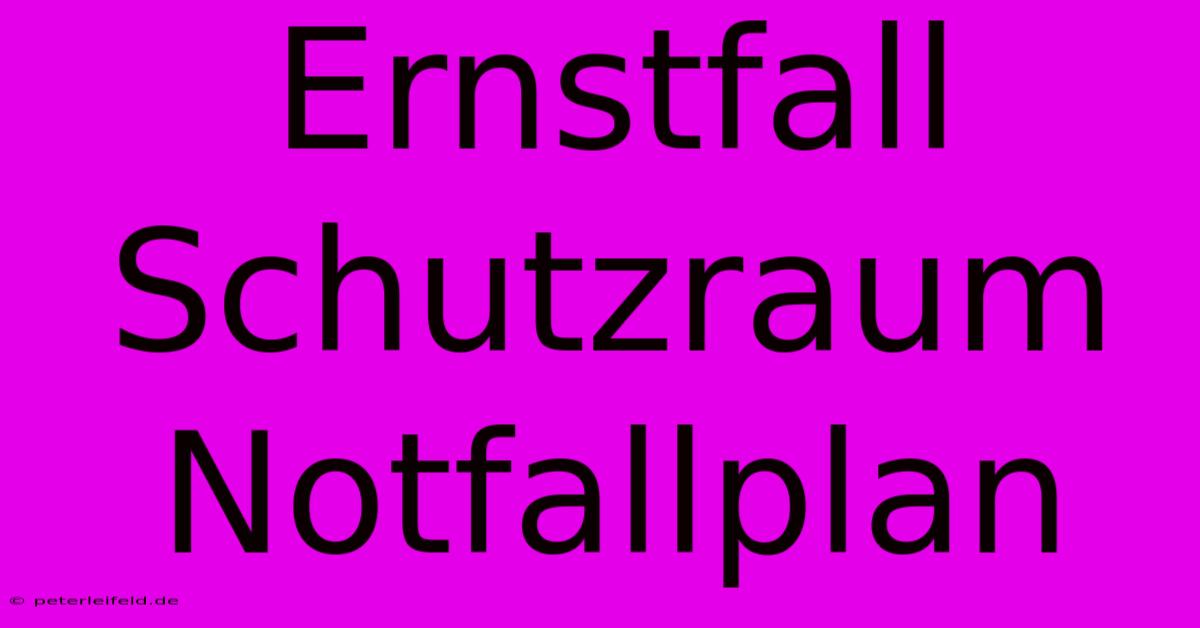 Ernstfall Schutzraum Notfallplan