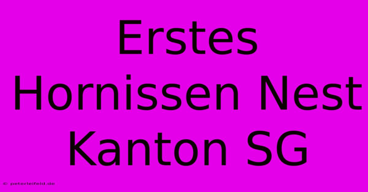 Erstes Hornissen Nest Kanton SG