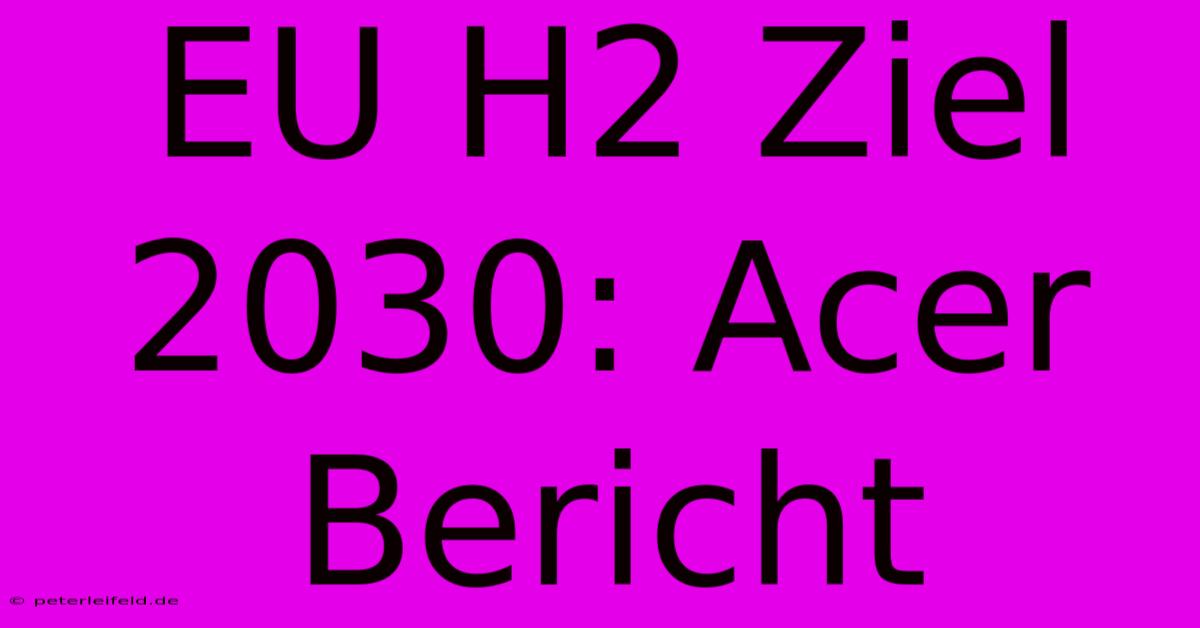 EU H2 Ziel 2030: Acer Bericht