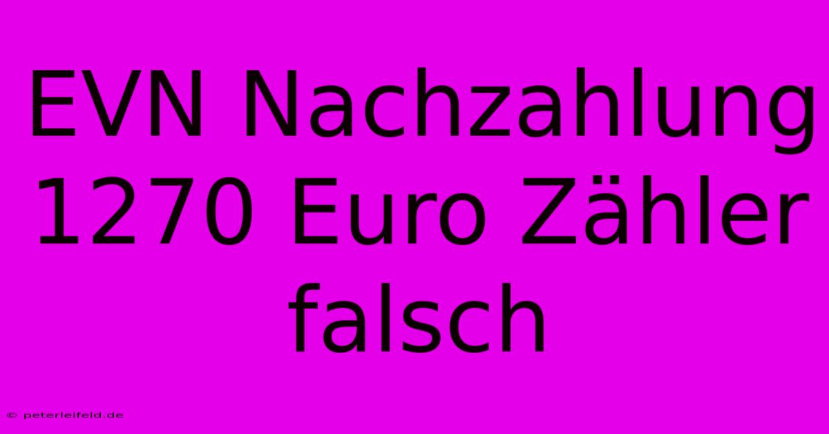 EVN Nachzahlung 1270 Euro Zähler Falsch