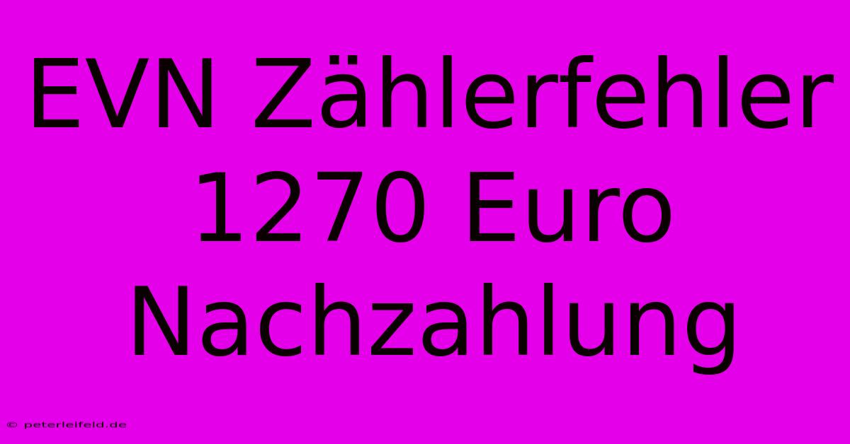 EVN Zählerfehler 1270 Euro Nachzahlung