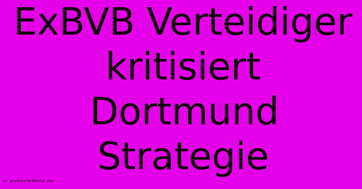 ExBVB Verteidiger Kritisiert Dortmund Strategie