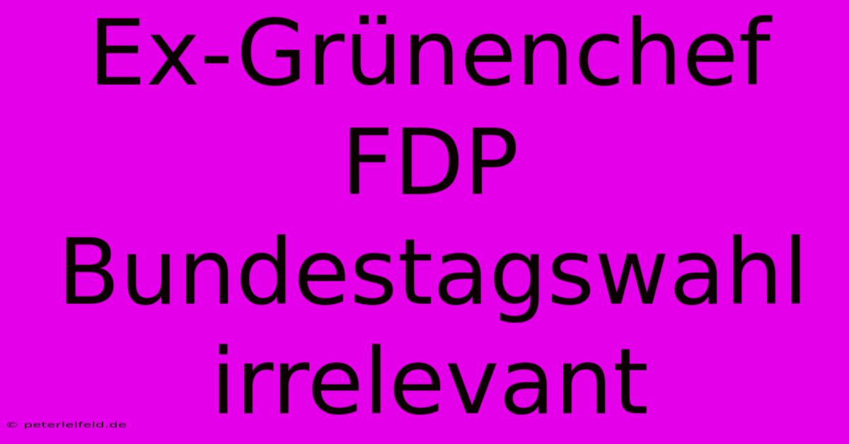 Ex-Grünenchef FDP Bundestagswahl Irrelevant