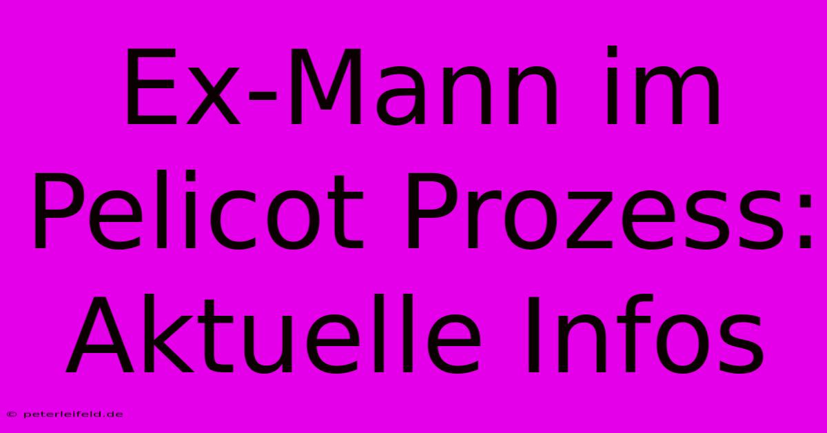 Ex-Mann Im Pelicot Prozess: Aktuelle Infos