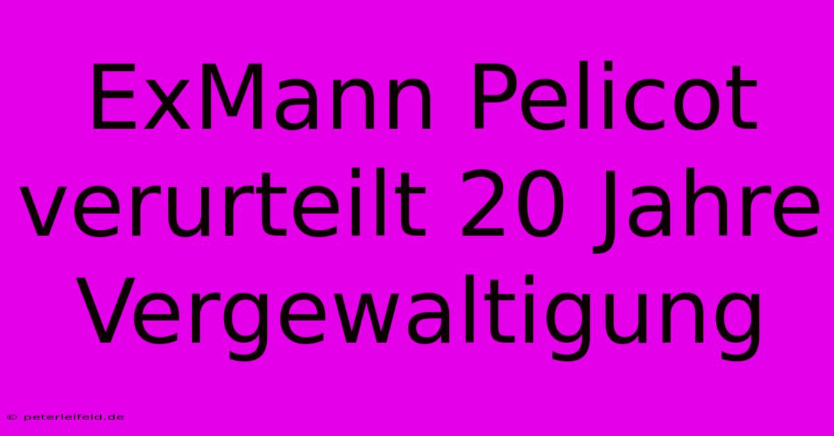 ExMann Pelicot Verurteilt 20 Jahre Vergewaltigung