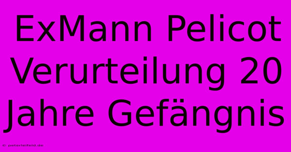 ExMann Pelicot Verurteilung 20 Jahre Gefängnis