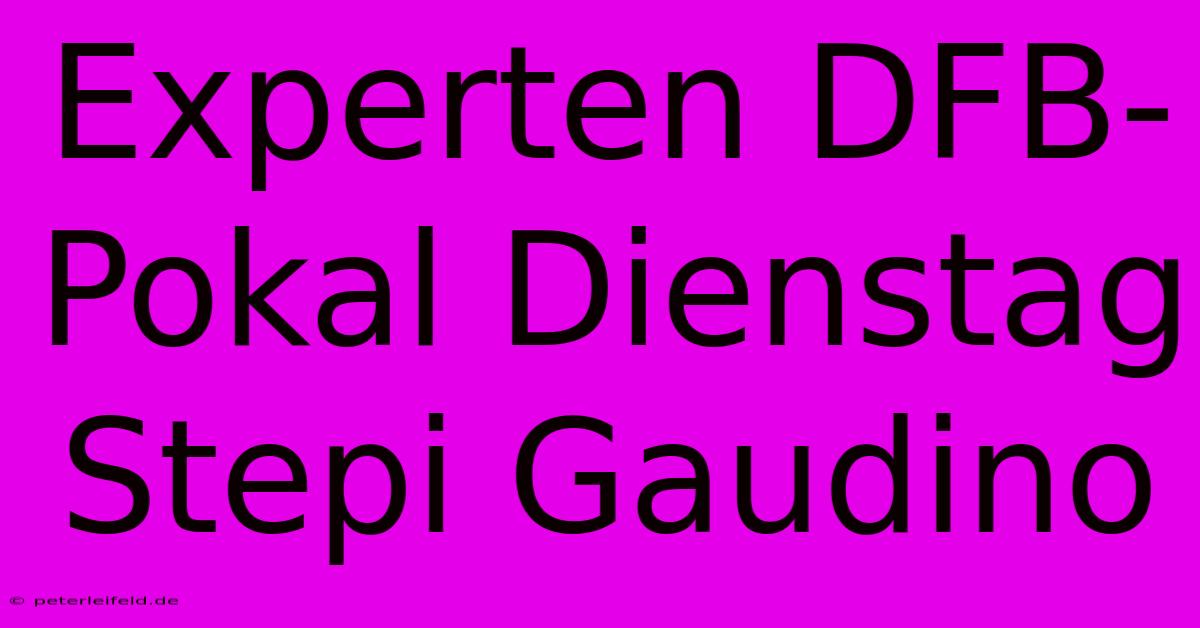 Experten DFB-Pokal Dienstag Stepi Gaudino