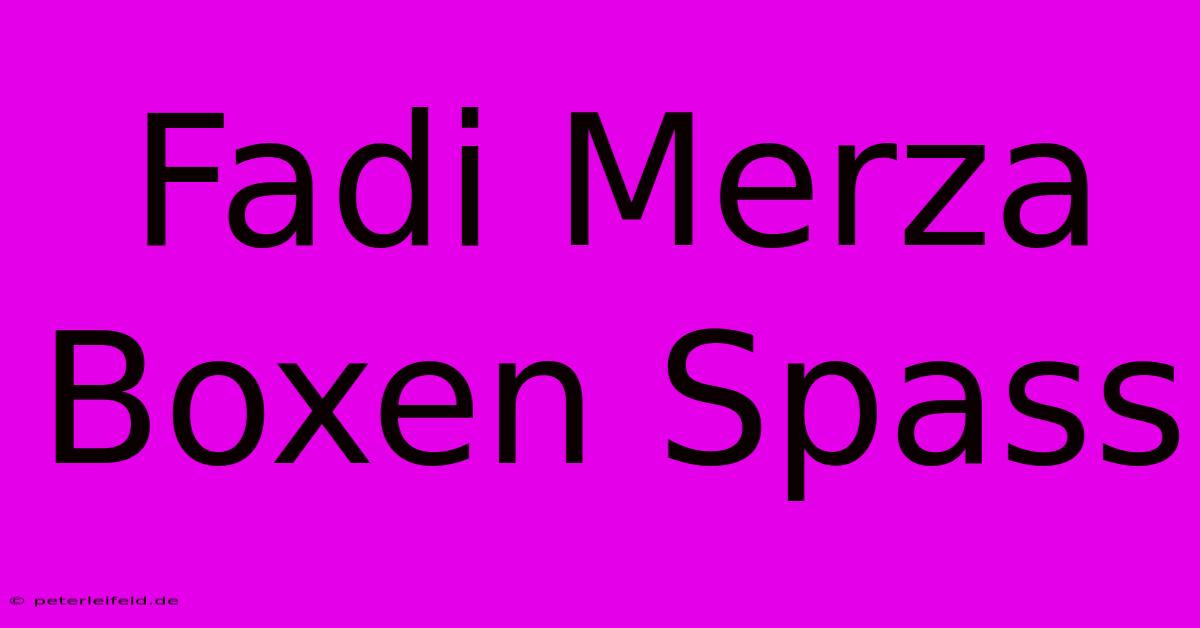 Fadi Merza Boxen Spass