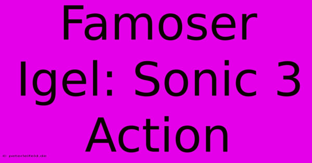 Famoser Igel: Sonic 3 Action