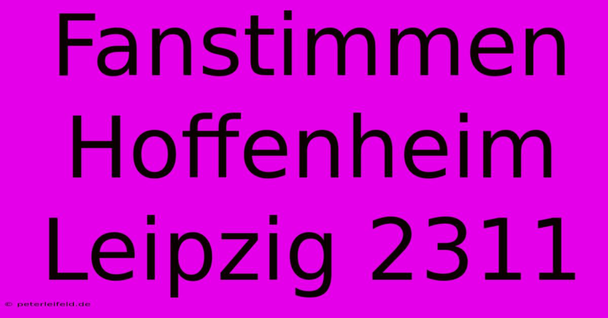 Fanstimmen Hoffenheim Leipzig 2311