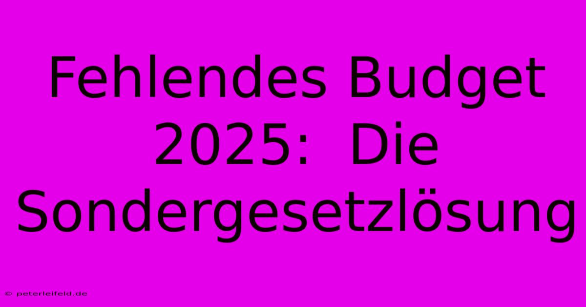 Fehlendes Budget 2025:  Die Sondergesetzlösung