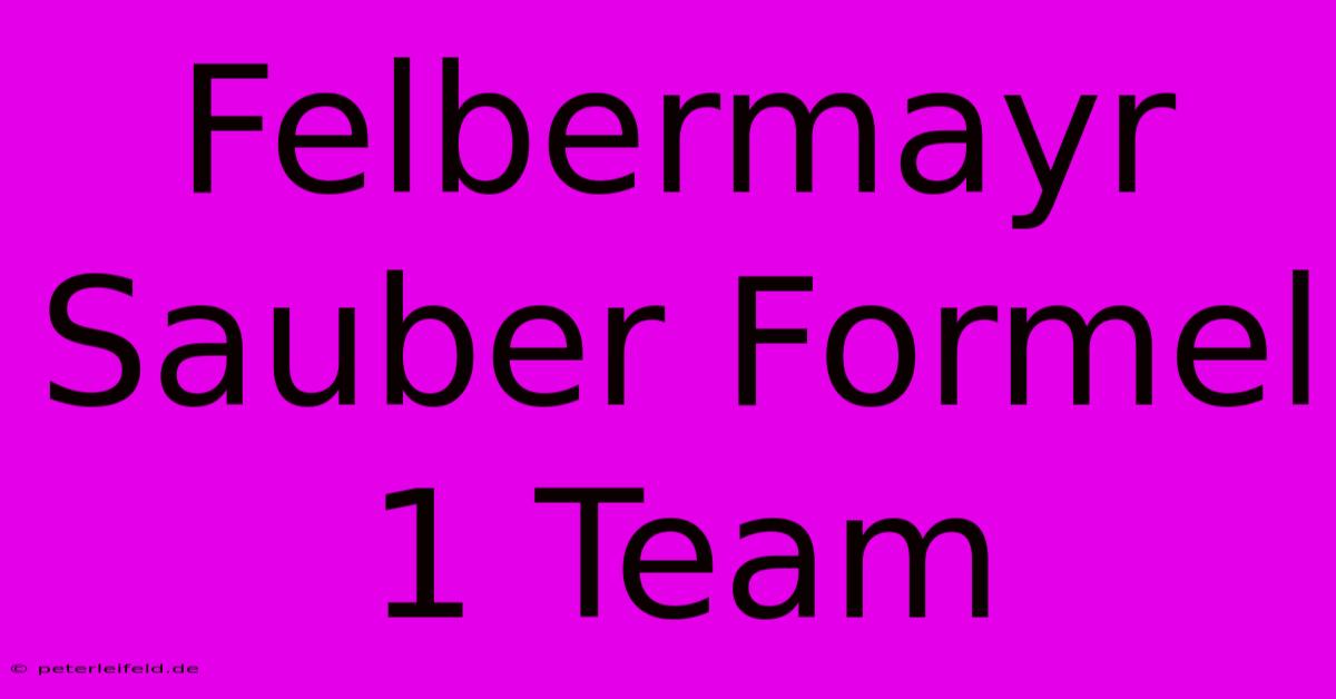 Felbermayr Sauber Formel 1 Team